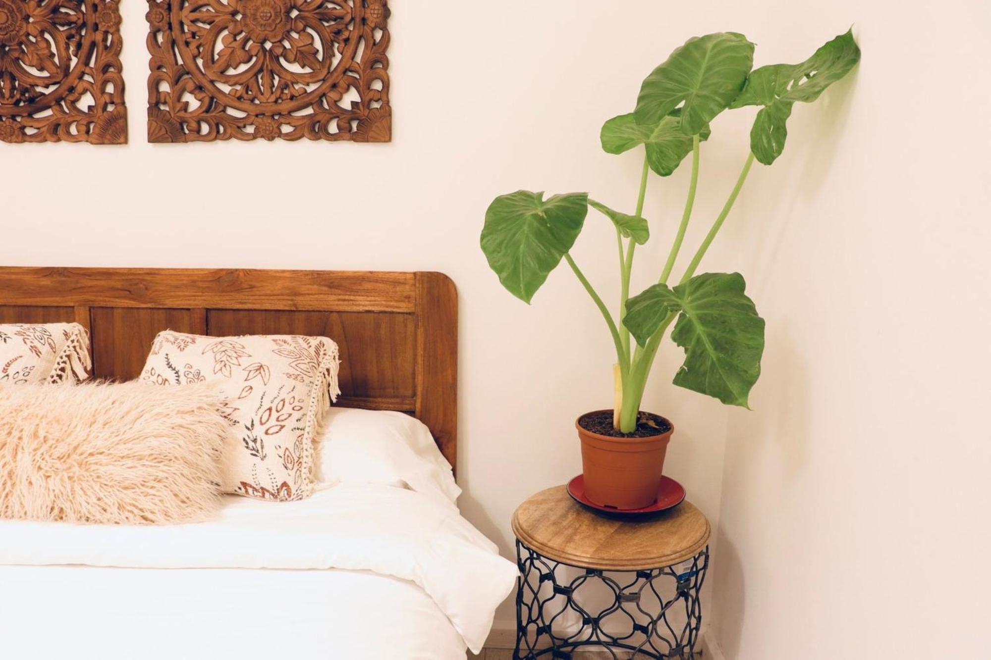 Bed & Breakfast Harmony Barcelona